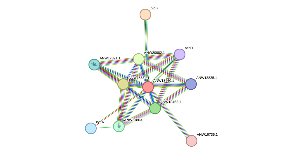 STRING protein interaction network