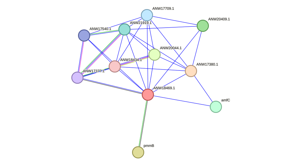 STRING protein interaction network