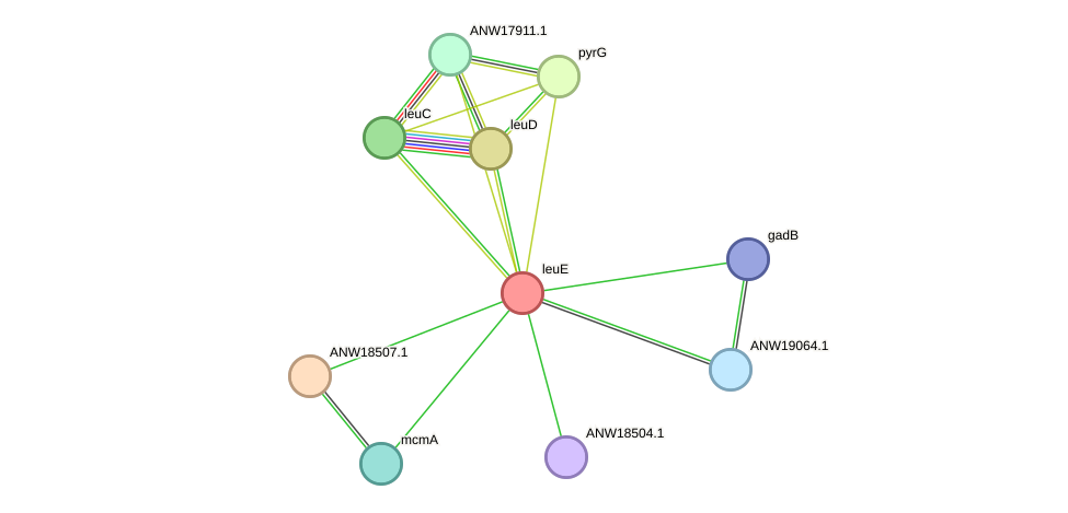 STRING protein interaction network