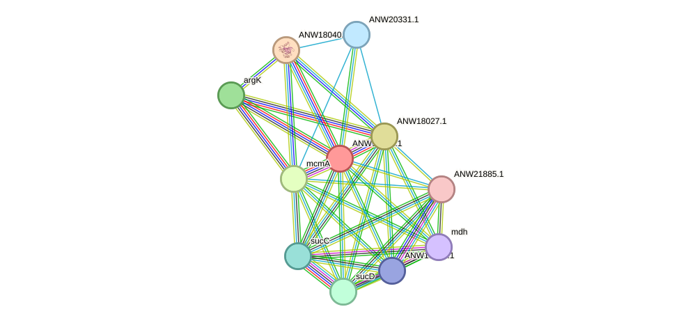 STRING protein interaction network