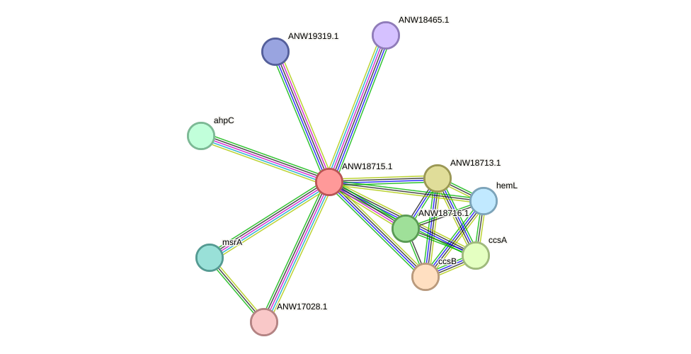 STRING protein interaction network