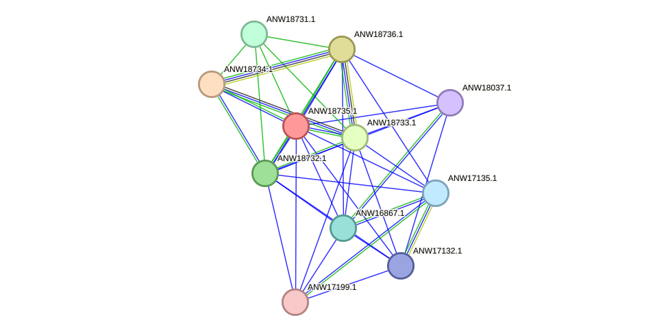 STRING protein interaction network