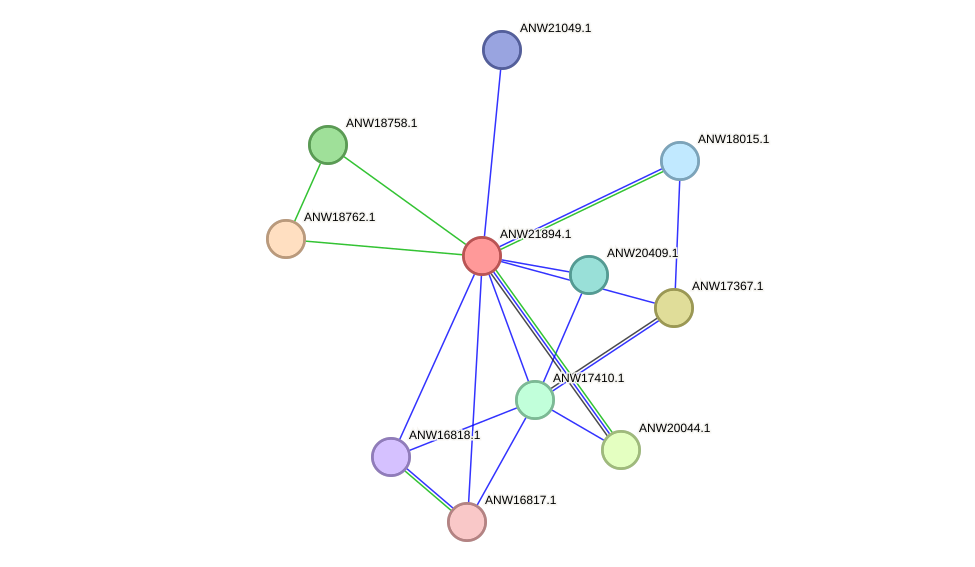 STRING protein interaction network