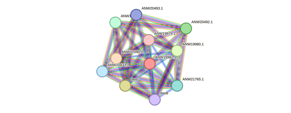 STRING protein interaction network