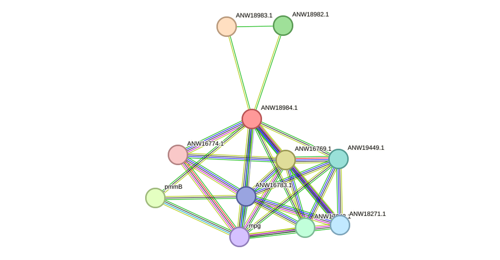 STRING protein interaction network
