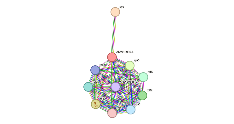 STRING protein interaction network