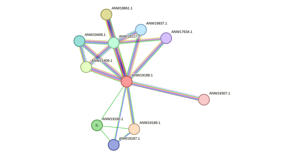 STRING protein interaction network