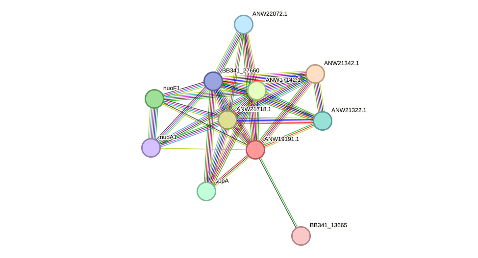 STRING protein interaction network