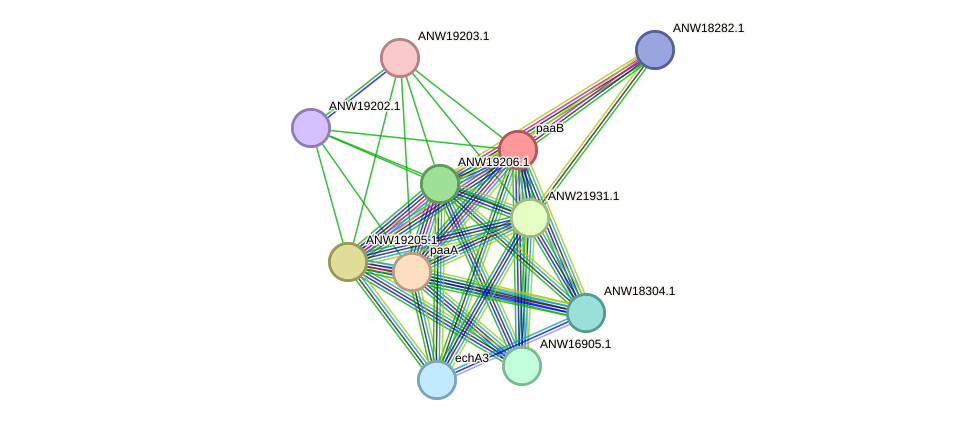 STRING protein interaction network