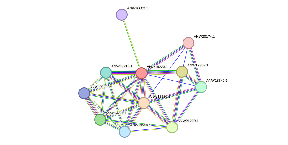 STRING protein interaction network