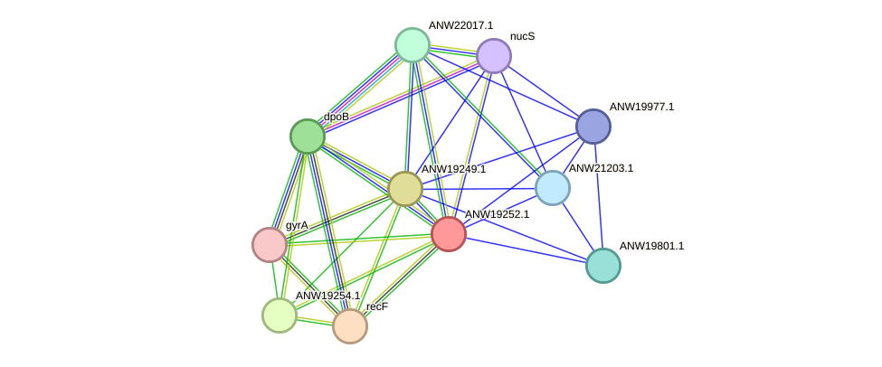 STRING protein interaction network
