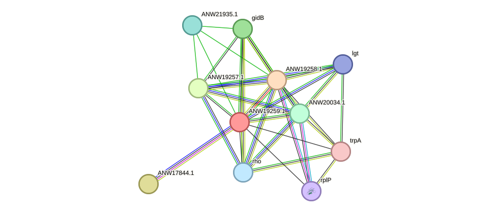 STRING protein interaction network