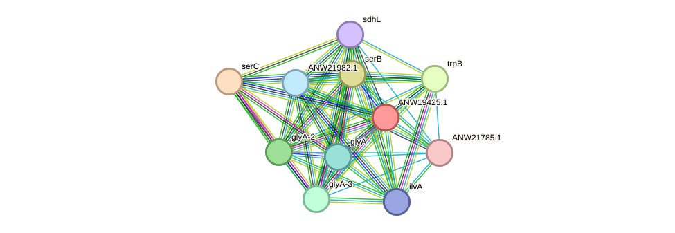 STRING protein interaction network