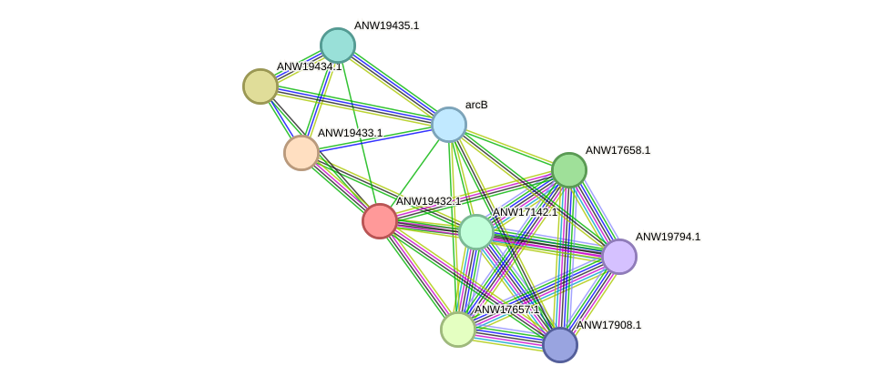 STRING protein interaction network