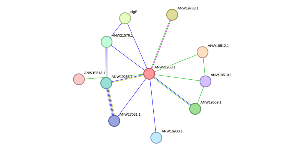 STRING protein interaction network