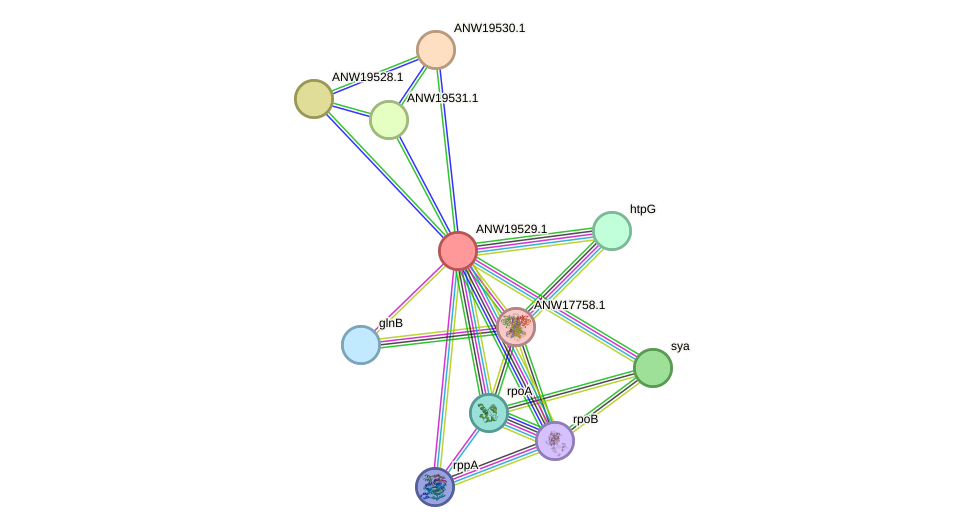 STRING protein interaction network