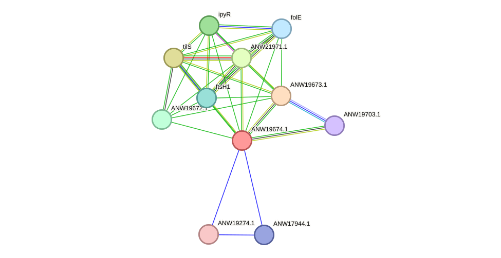 STRING protein interaction network