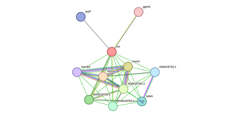 STRING protein interaction network