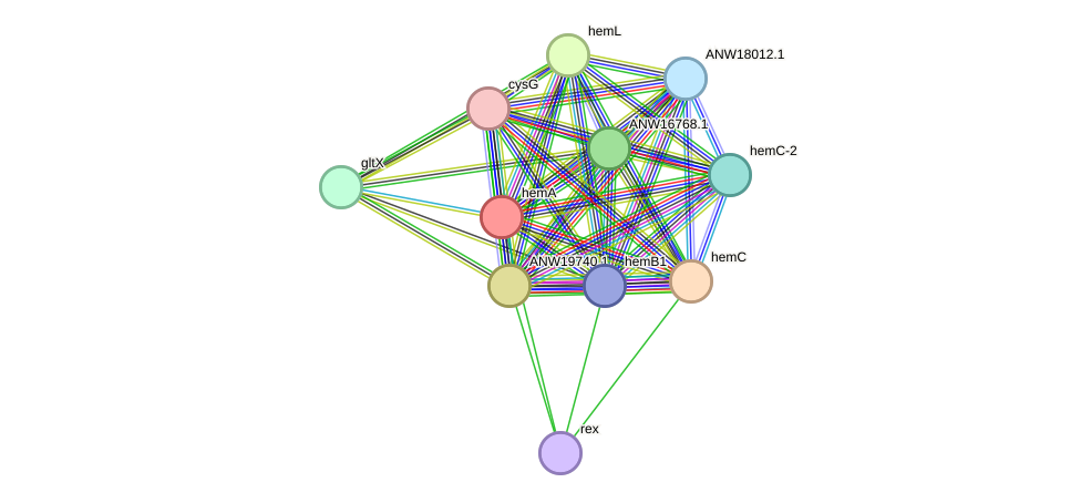 STRING protein interaction network
