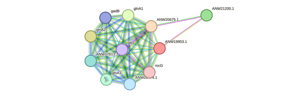 STRING protein interaction network