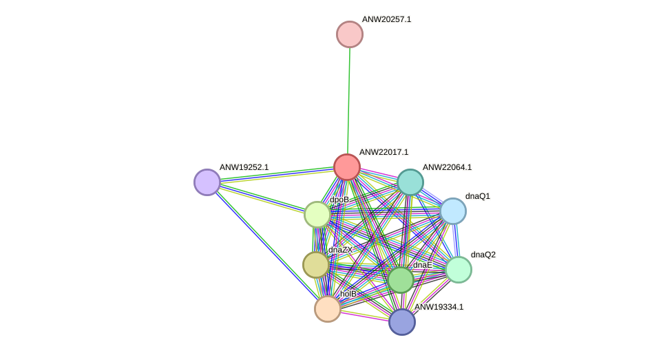 STRING protein interaction network