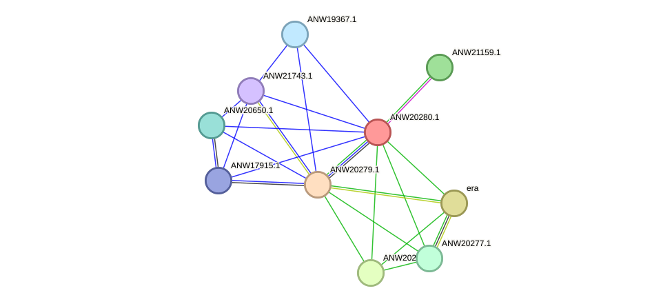 STRING protein interaction network