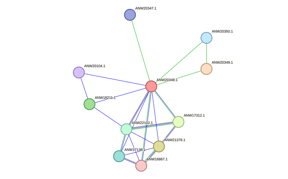 STRING protein interaction network