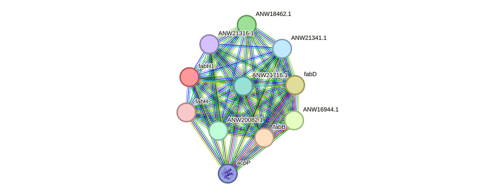 STRING protein interaction network