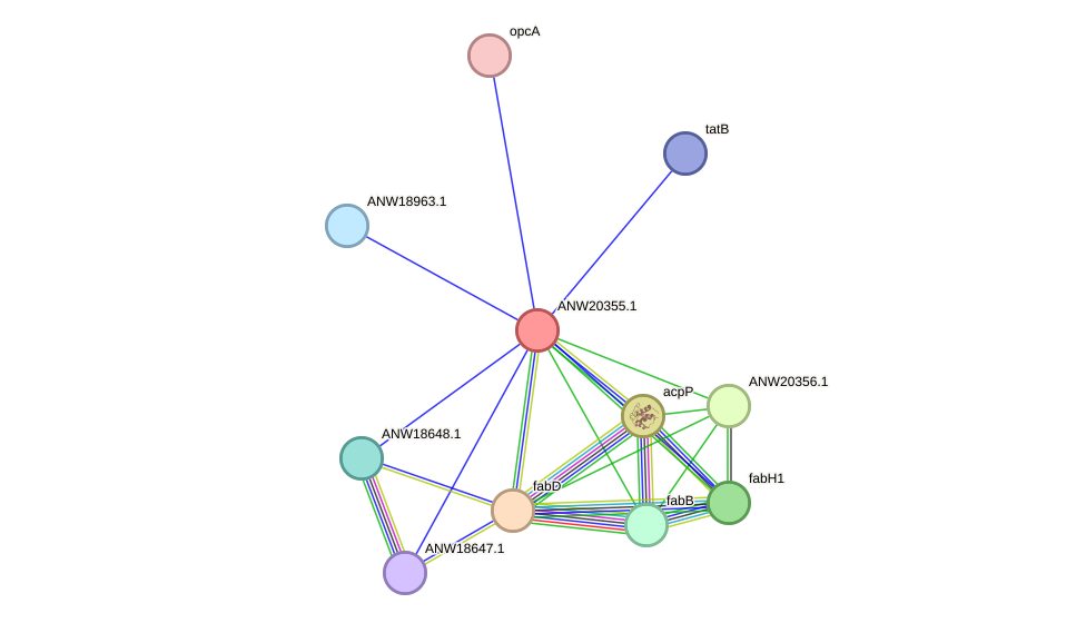 STRING protein interaction network