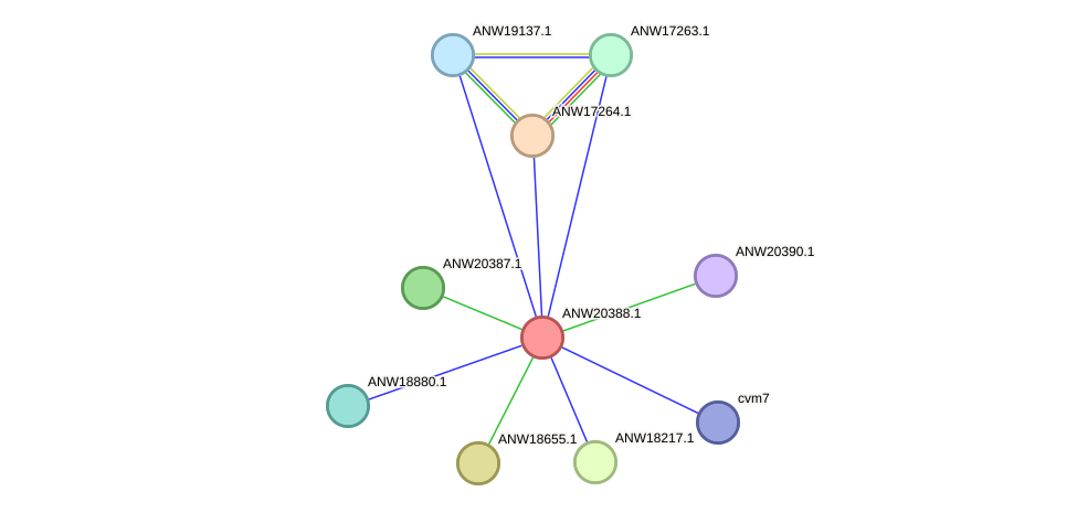 STRING protein interaction network