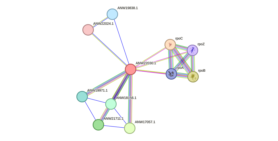 STRING protein interaction network