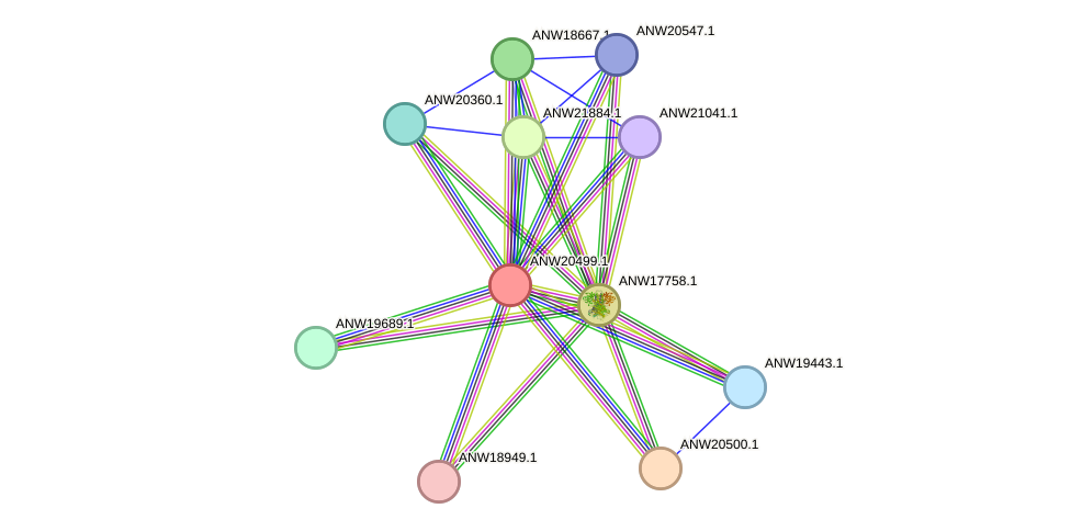 STRING protein interaction network