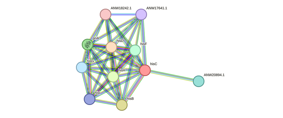 STRING protein interaction network