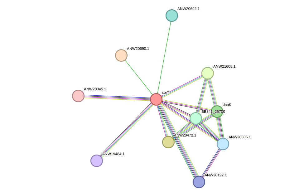 STRING protein interaction network