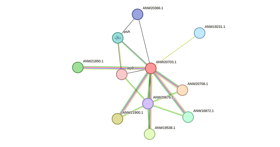 STRING protein interaction network
