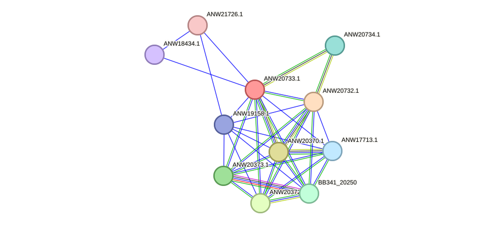 STRING protein interaction network