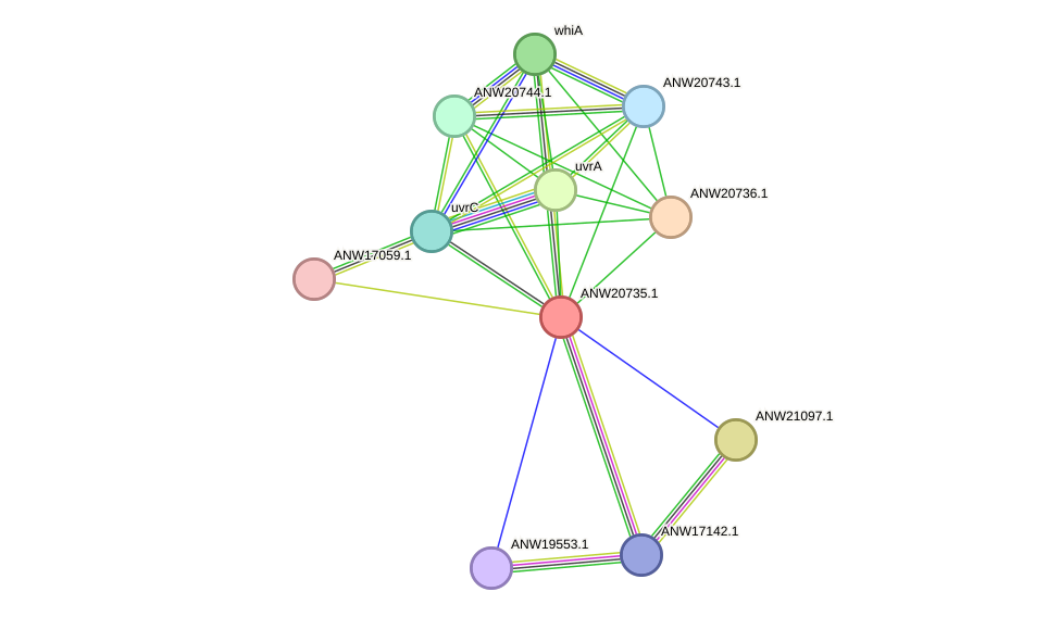 STRING protein interaction network