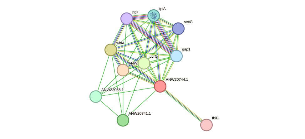 STRING protein interaction network