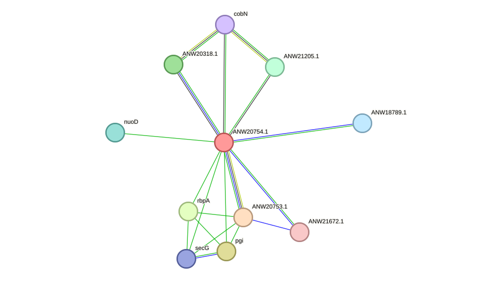 STRING protein interaction network