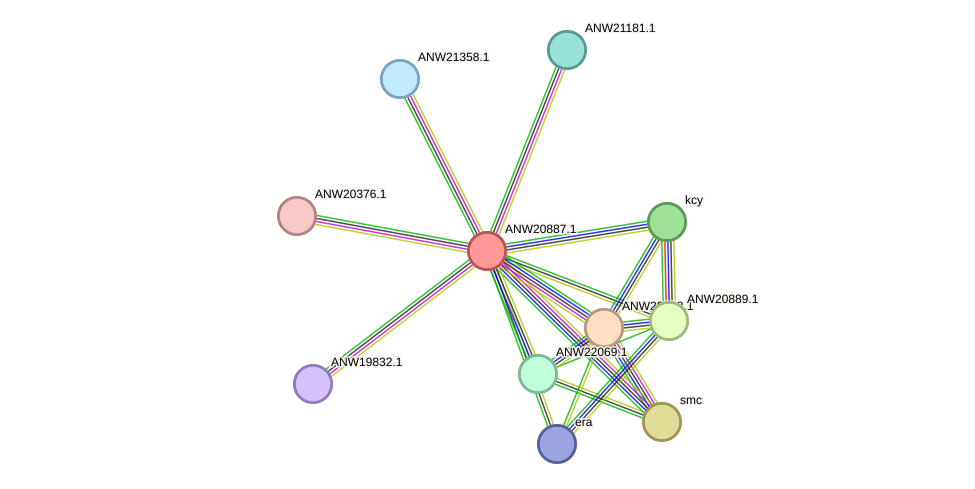 STRING protein interaction network