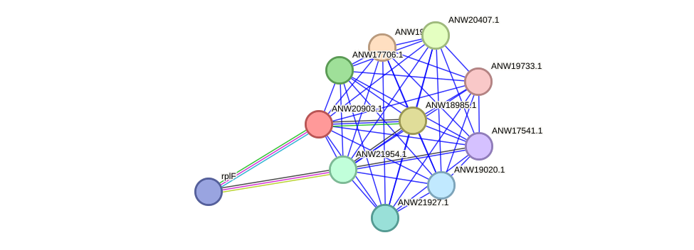 STRING protein interaction network