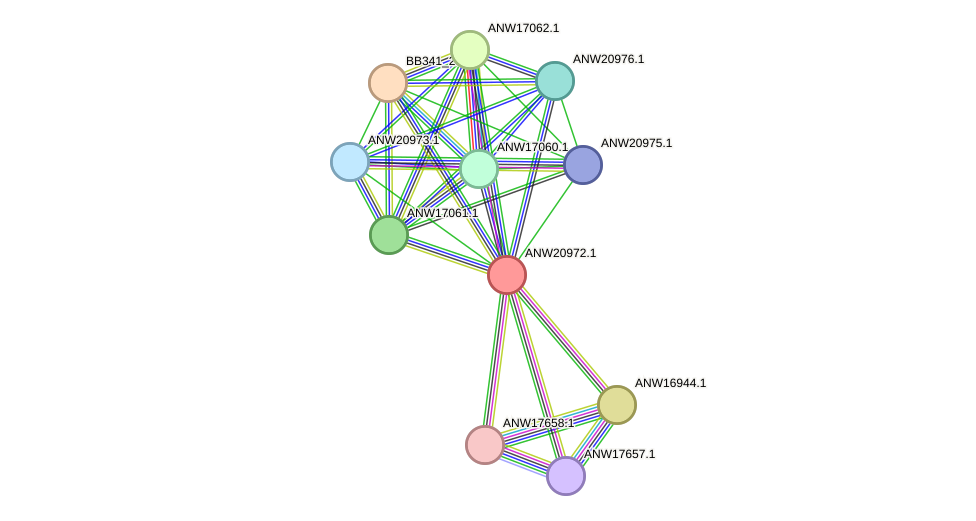 STRING protein interaction network