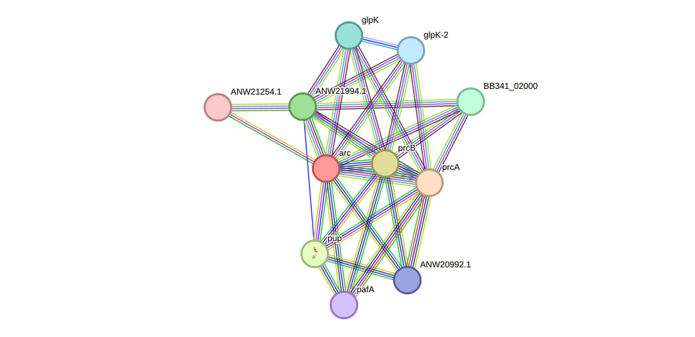 STRING protein interaction network