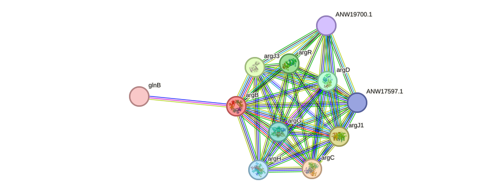 STRING protein interaction network