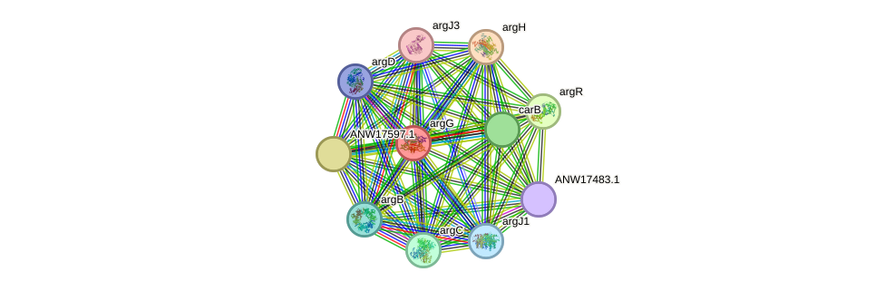 STRING protein interaction network