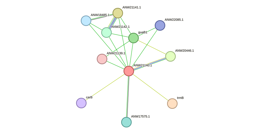 STRING protein interaction network
