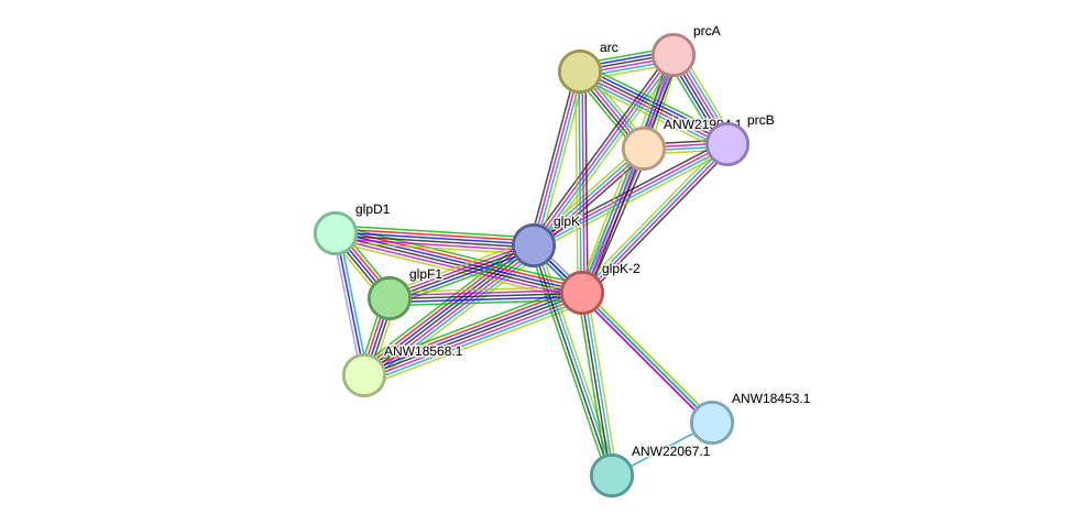 STRING protein interaction network