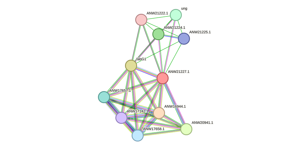 STRING protein interaction network