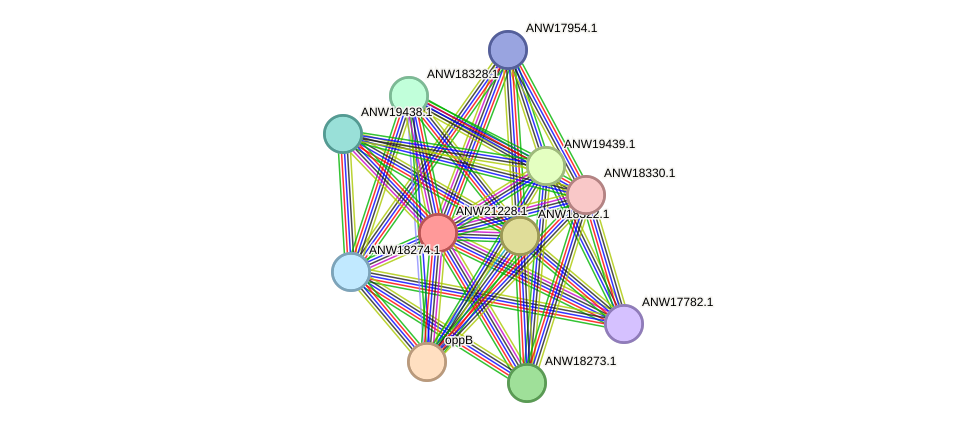 STRING protein interaction network
