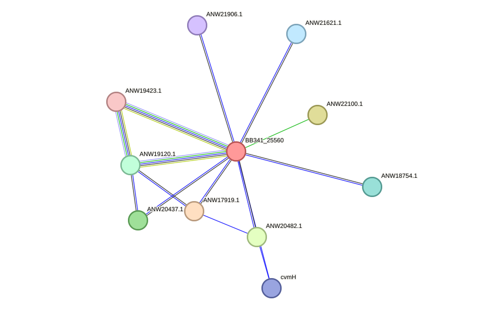 STRING protein interaction network